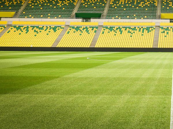 retouches-Nantes Stade de la Beaujoire - Terrain Hybride Desso Grassmaster