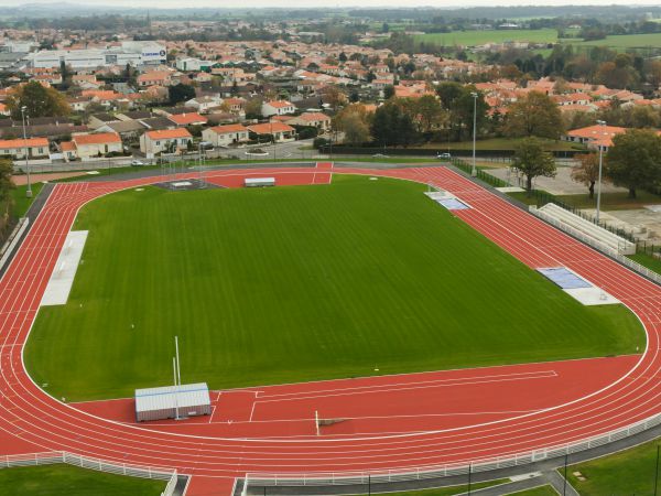 Terrain de rugby en gazon naturel sur substrat Terrafoot - Sportingsols