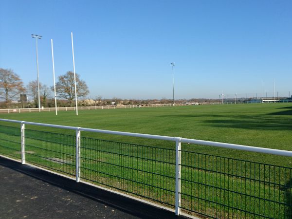 Terrain de rugby en gazon traditionnel - Sportingsols