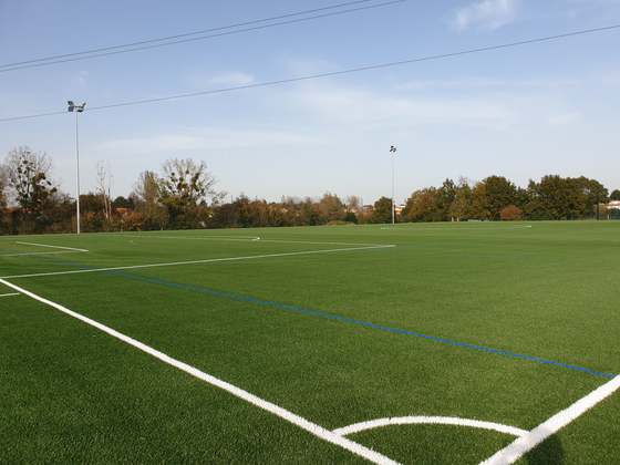 MOUZILLON_Terrain-synthetique-noyau-olive.JPG